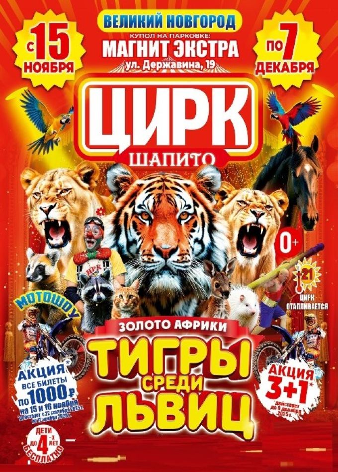 Цирк-шапито «Золото Африки»