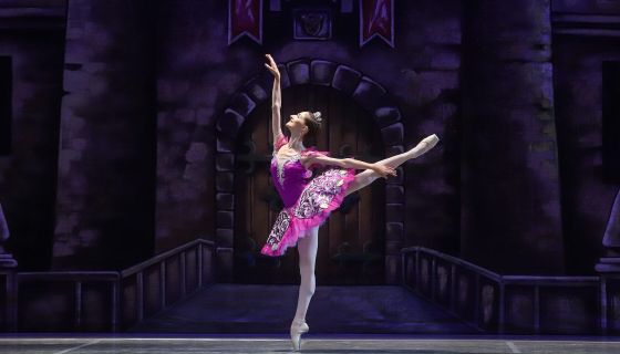 Балет «Золушка», Боровичи