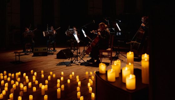 Оркестр при свечах «Muse». Гарри Поттер