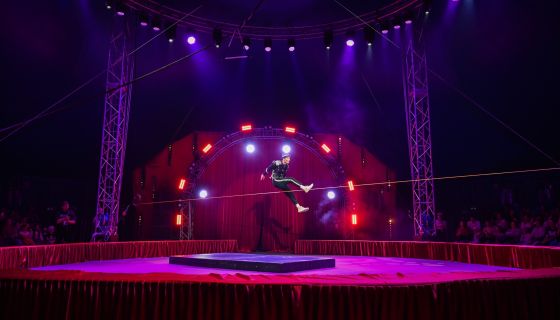 Цирк-шапито «Виват»