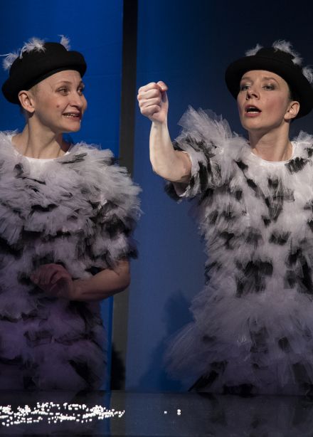 Лебединое озеро