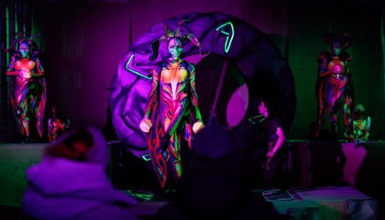 Мистическое шоу «Легенды господина Н»