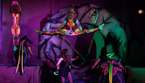 Мистическое шоу «Легенды господина Н»